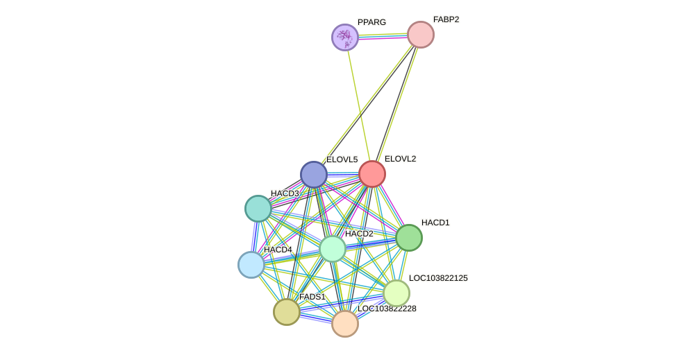 STRING protein interaction network