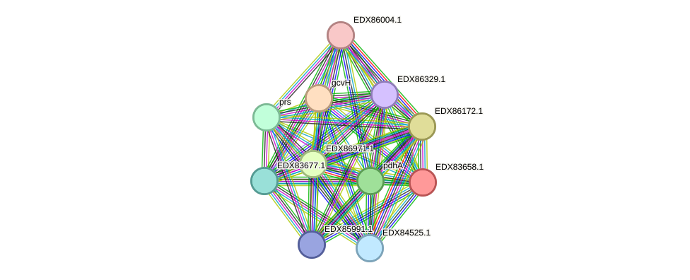 STRING protein interaction network