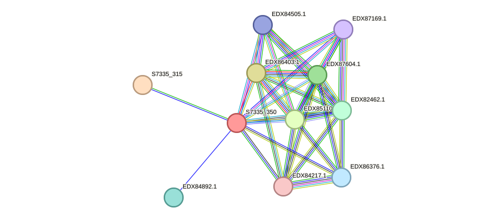 STRING protein interaction network