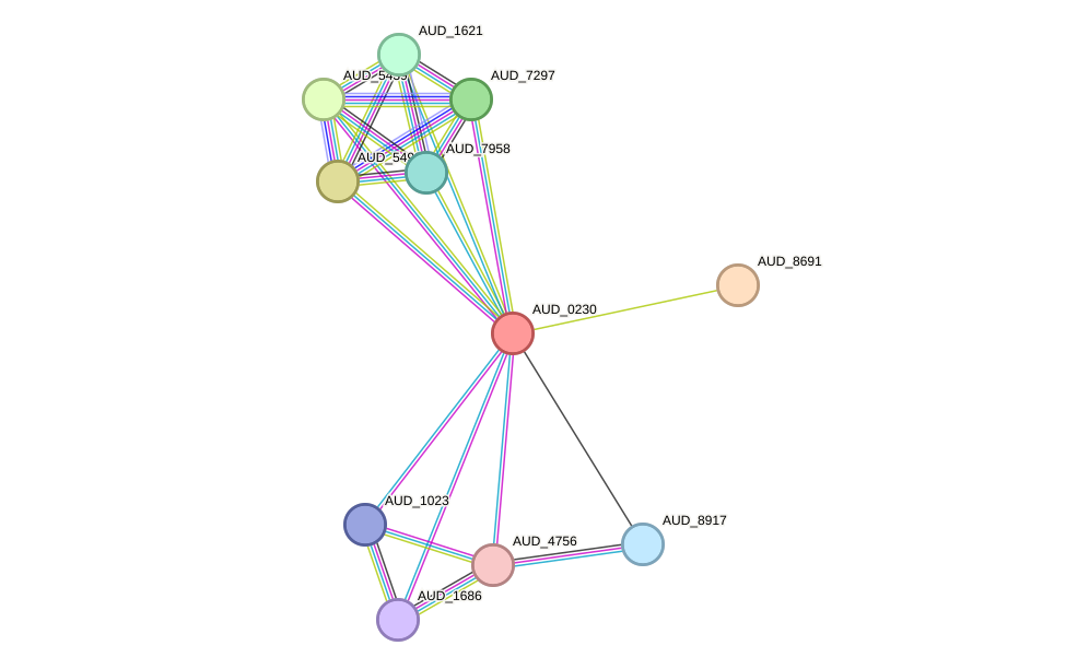 STRING protein interaction network