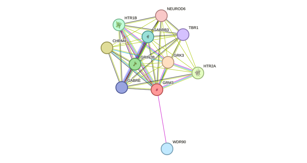 STRING protein interaction network