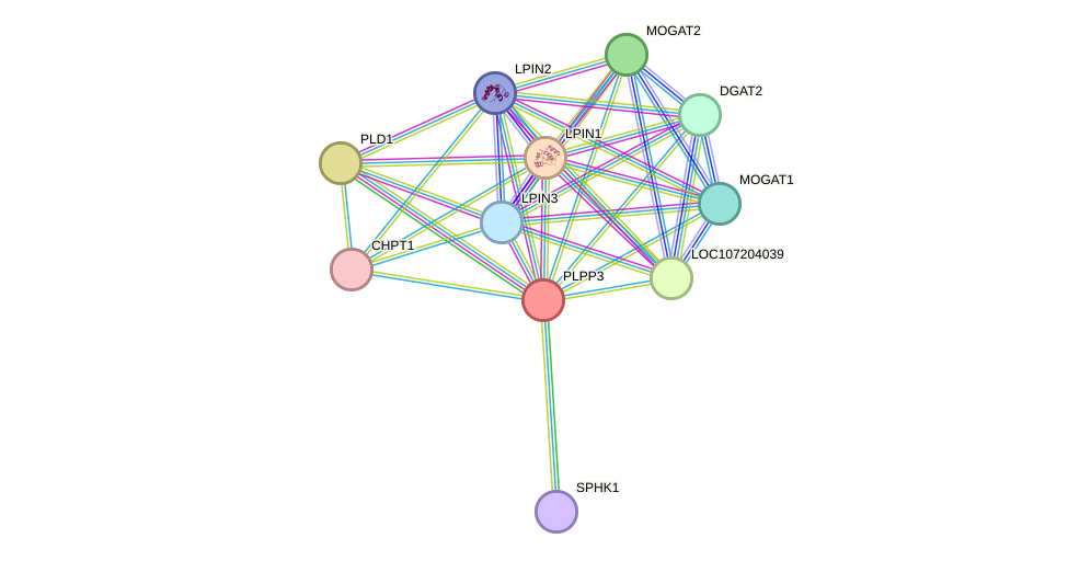 STRING protein interaction network