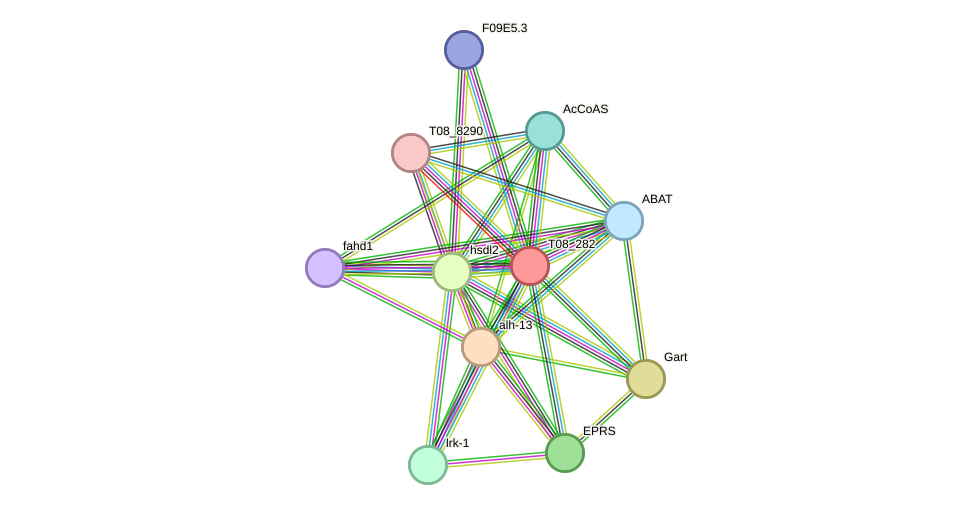 STRING protein interaction network