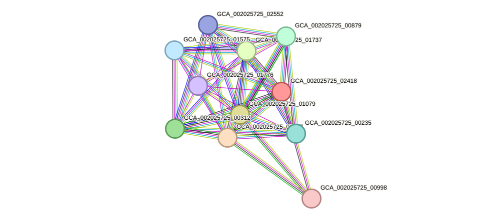 STRING protein interaction network