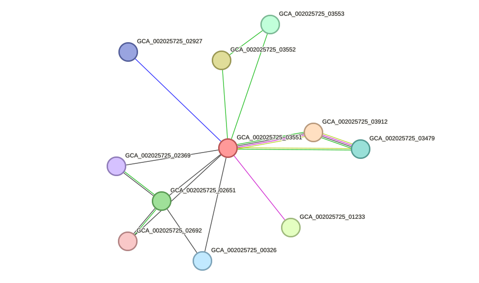 STRING protein interaction network