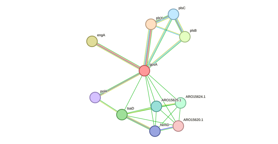 STRING protein interaction network