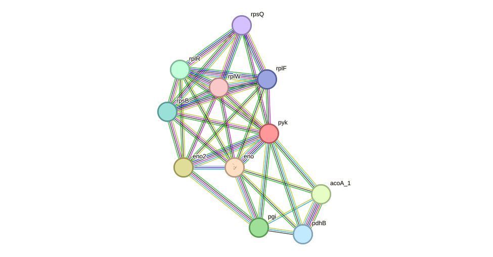 STRING protein interaction network