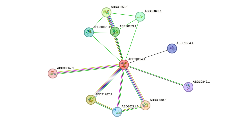 STRING protein interaction network
