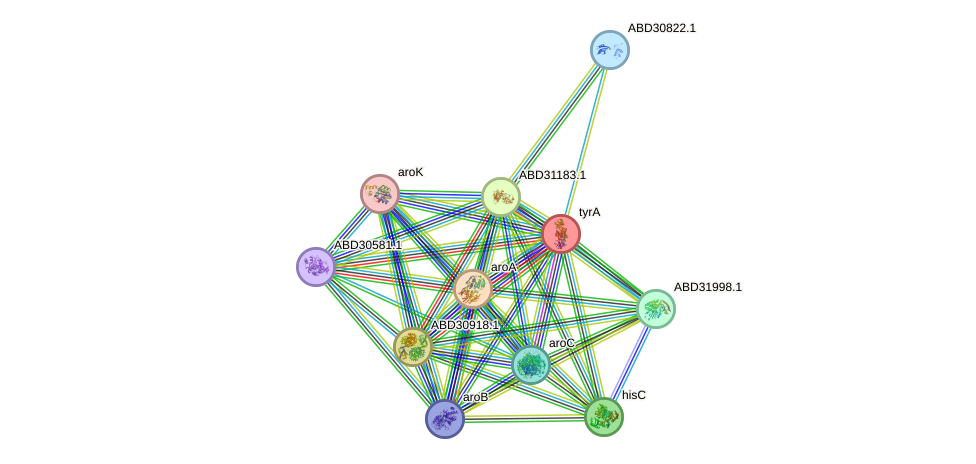 STRING protein interaction network