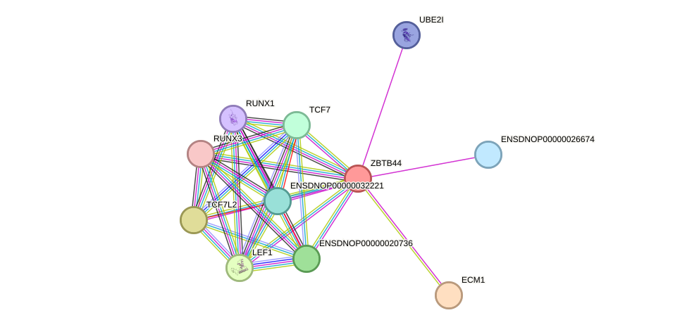 STRING protein interaction network