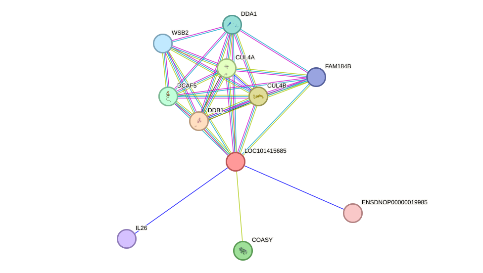 STRING protein interaction network