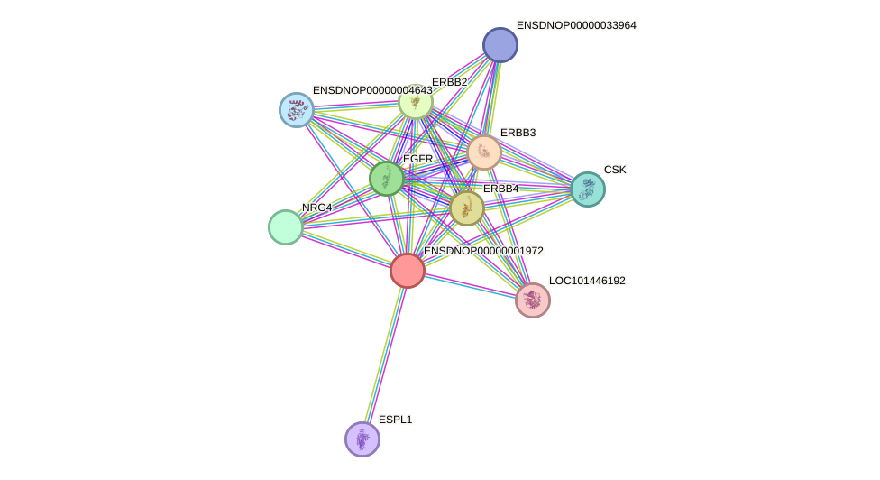 STRING protein interaction network