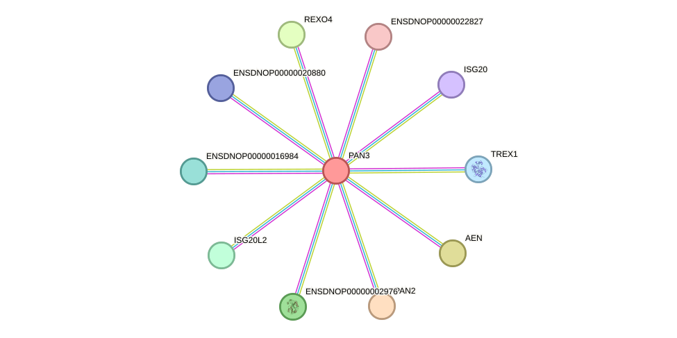 STRING protein interaction network