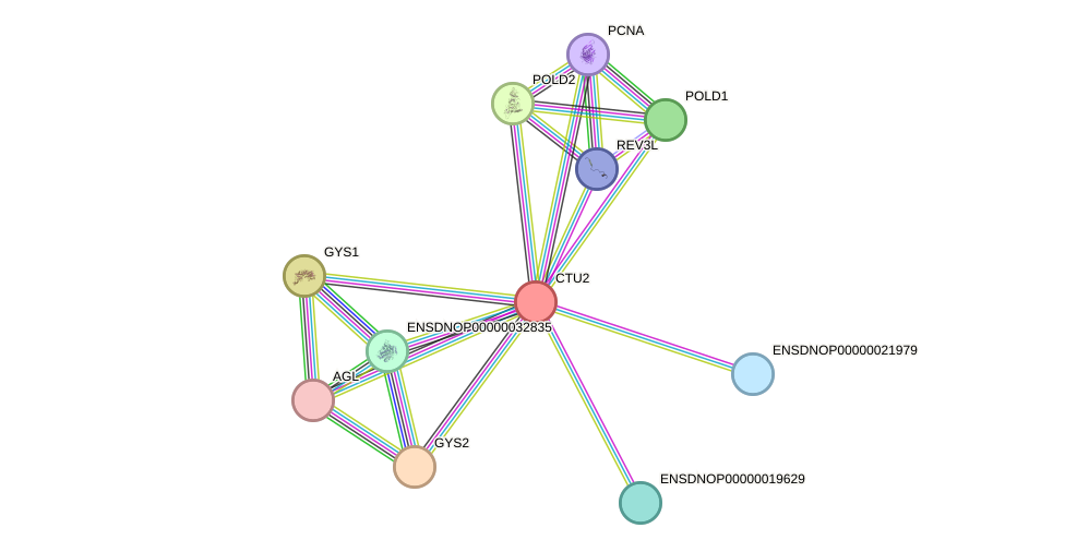 STRING protein interaction network