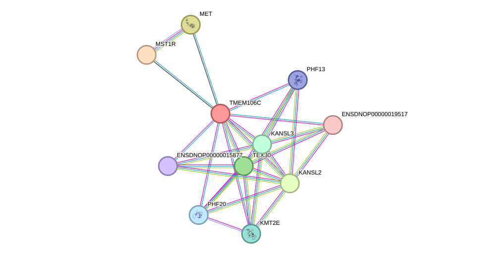 STRING protein interaction network