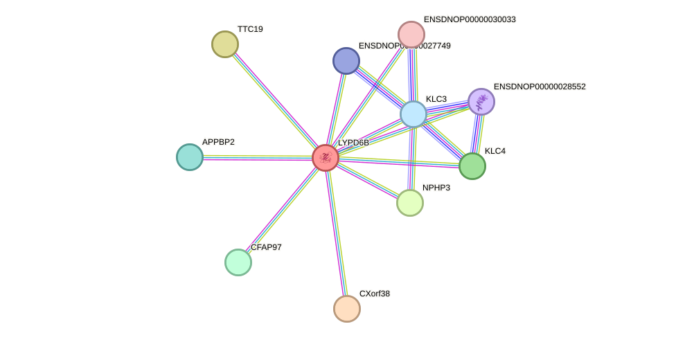 STRING protein interaction network