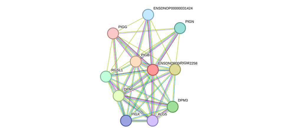 STRING protein interaction network