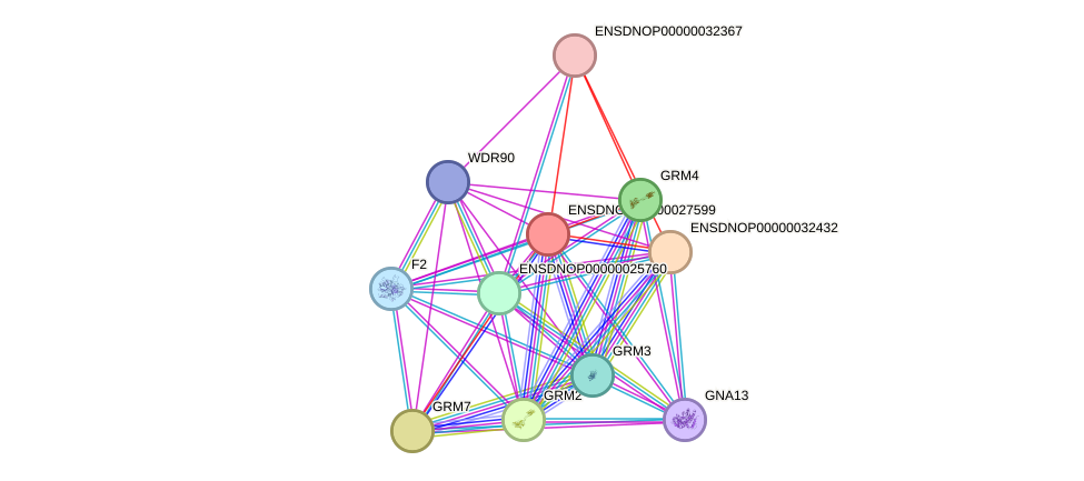 STRING protein interaction network