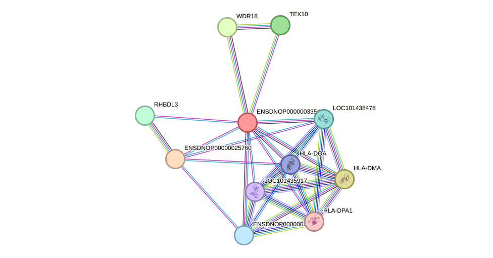 STRING protein interaction network