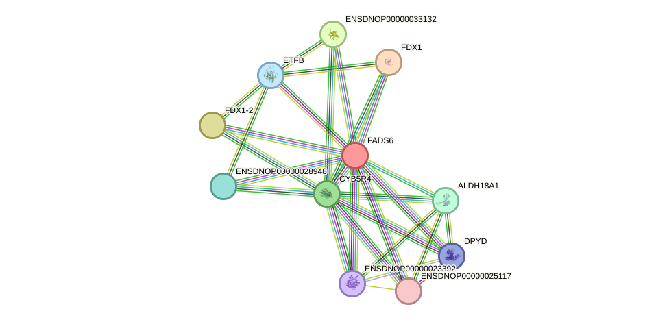 STRING protein interaction network