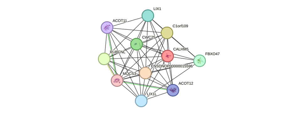 STRING protein interaction network