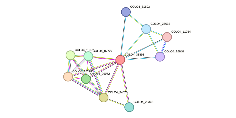 STRING protein interaction network