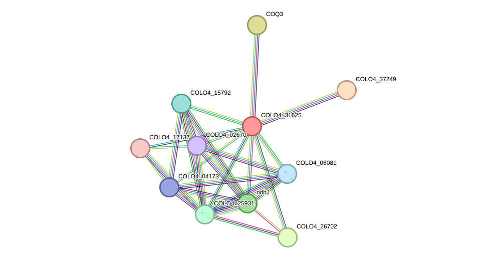 STRING protein interaction network