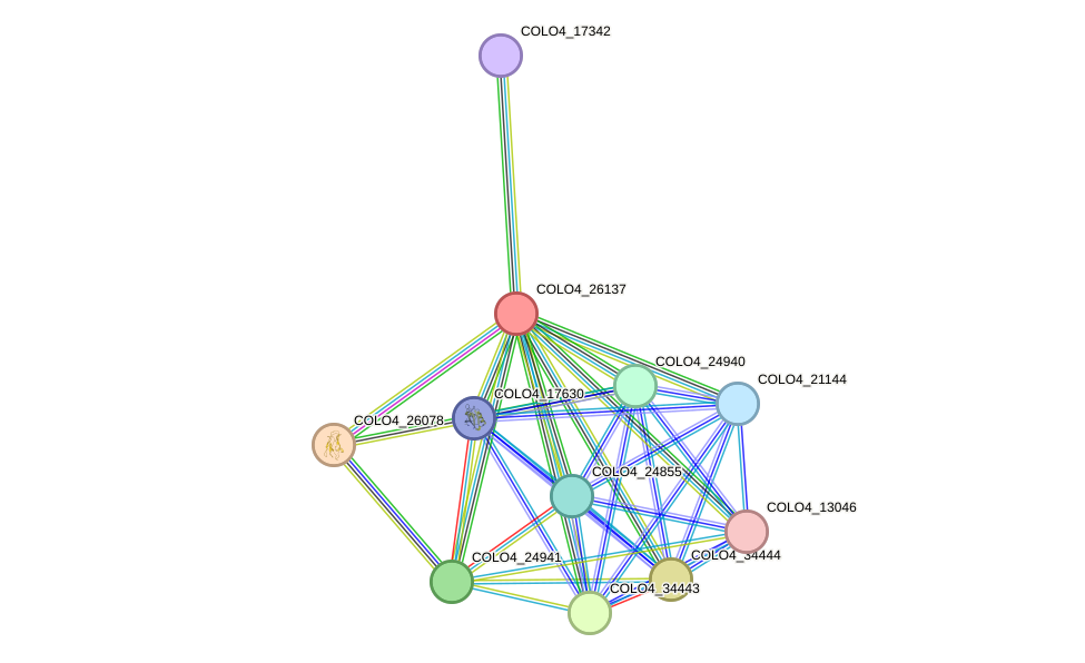 STRING protein interaction network