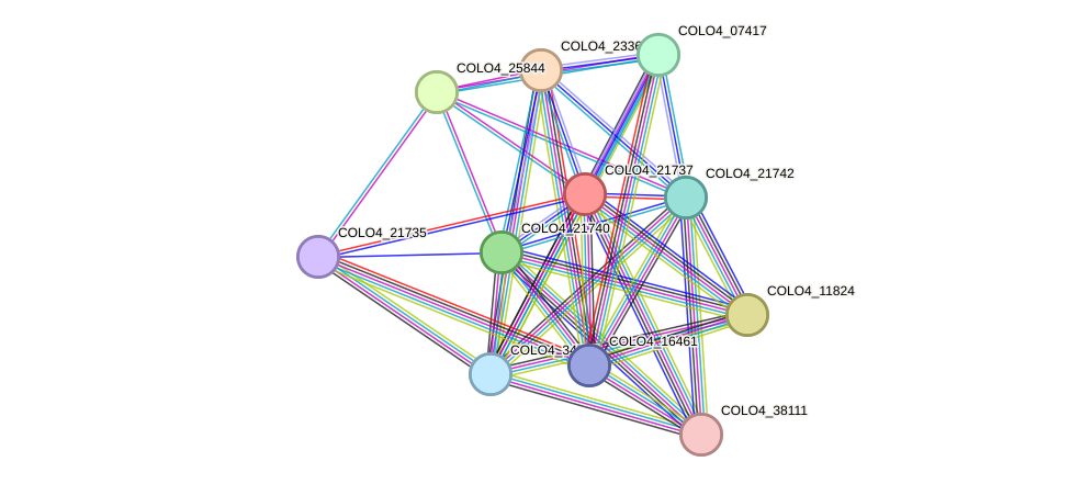 STRING protein interaction network