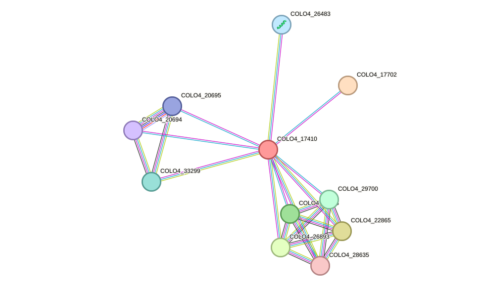 STRING protein interaction network