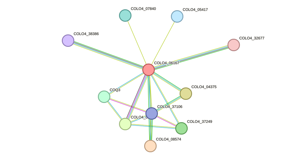 STRING protein interaction network