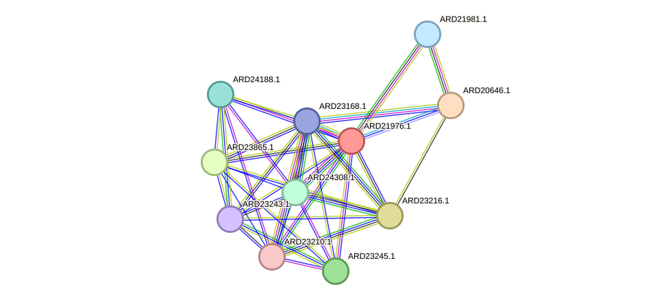 STRING protein interaction network