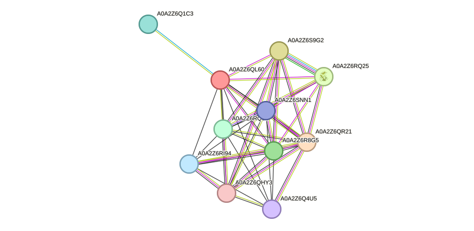STRING protein interaction network