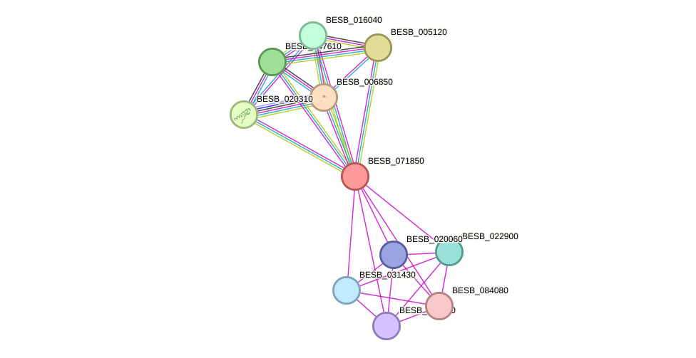 STRING protein interaction network