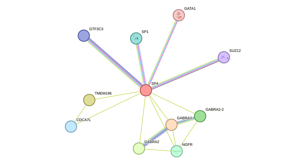 STRING protein interaction network