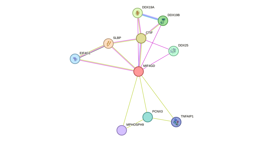 STRING protein interaction network