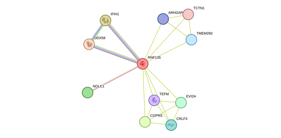 STRING protein interaction network