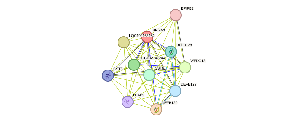 STRING protein interaction network