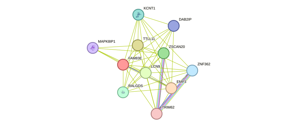 STRING protein interaction network