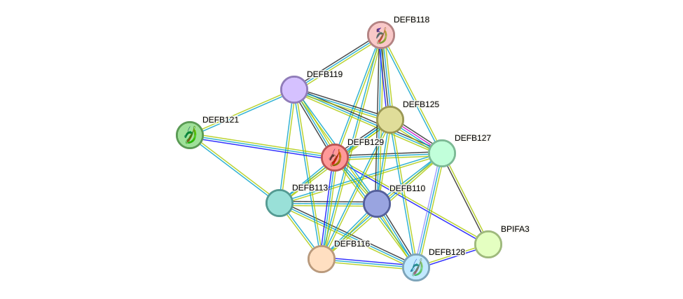 STRING protein interaction network