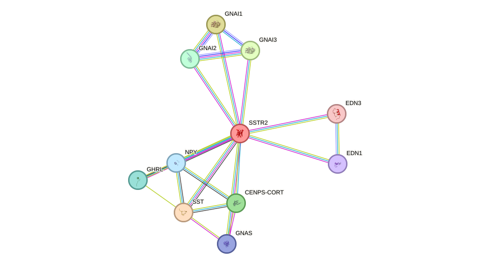 STRING protein interaction network