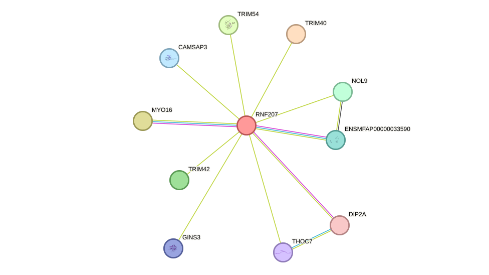 STRING protein interaction network