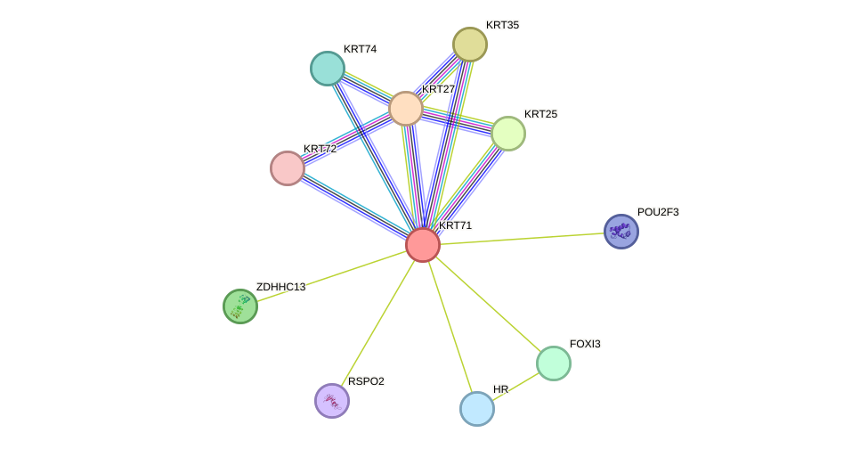 STRING protein interaction network