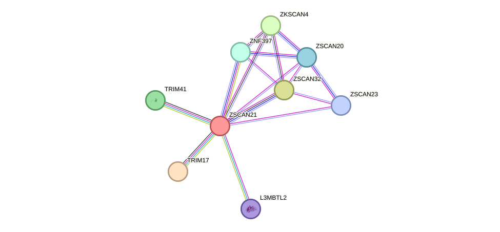 STRING protein interaction network