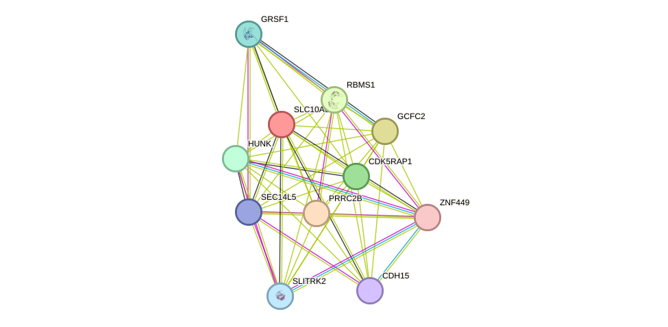 STRING protein interaction network