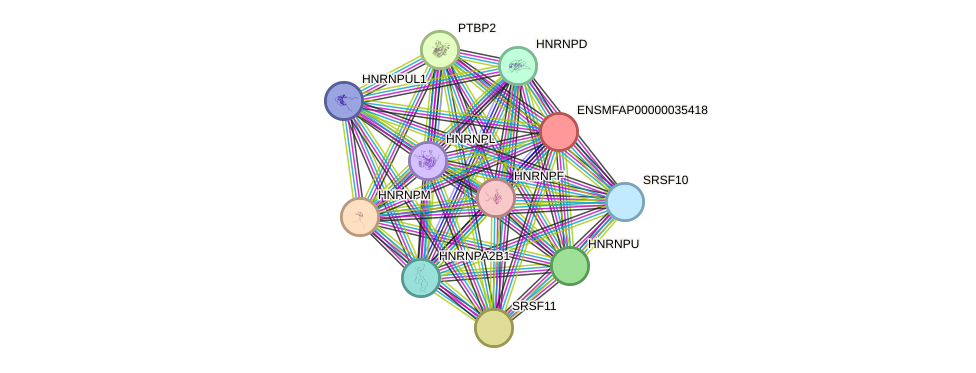 STRING protein interaction network