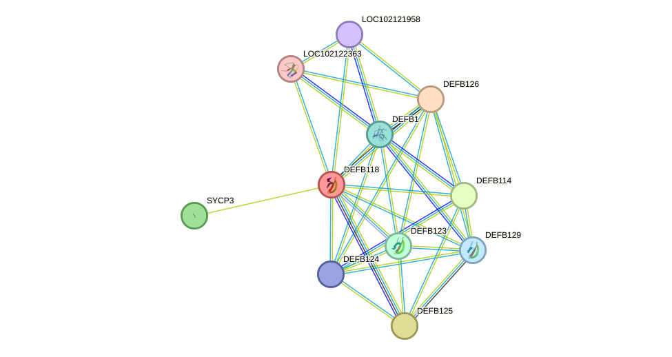 STRING protein interaction network