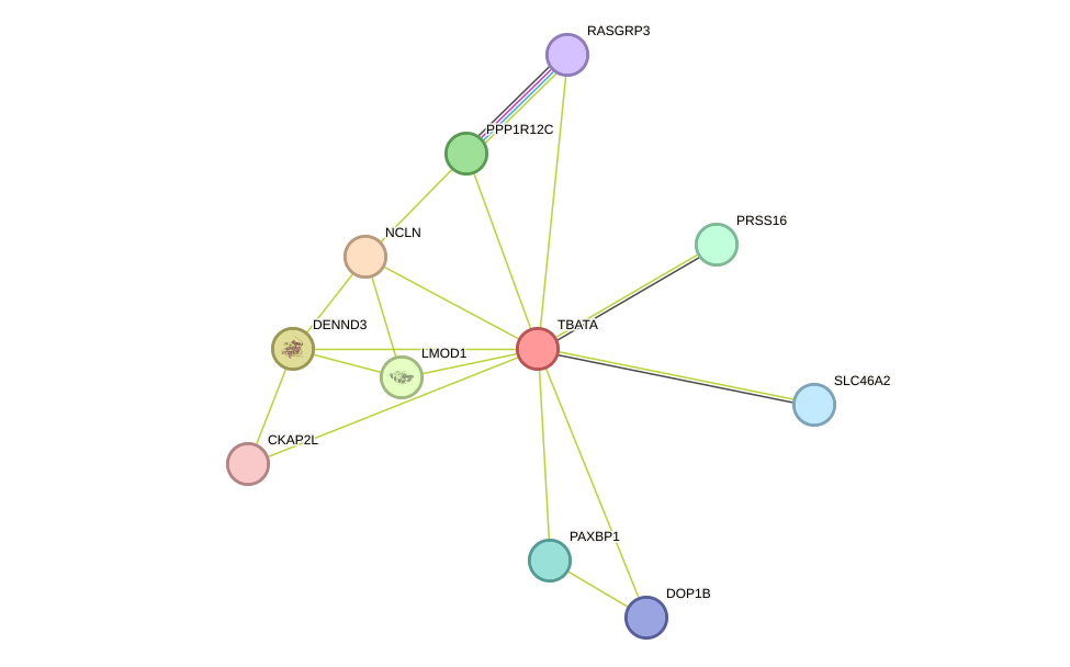 STRING protein interaction network