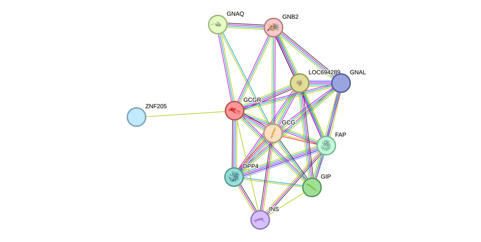 STRING protein interaction network