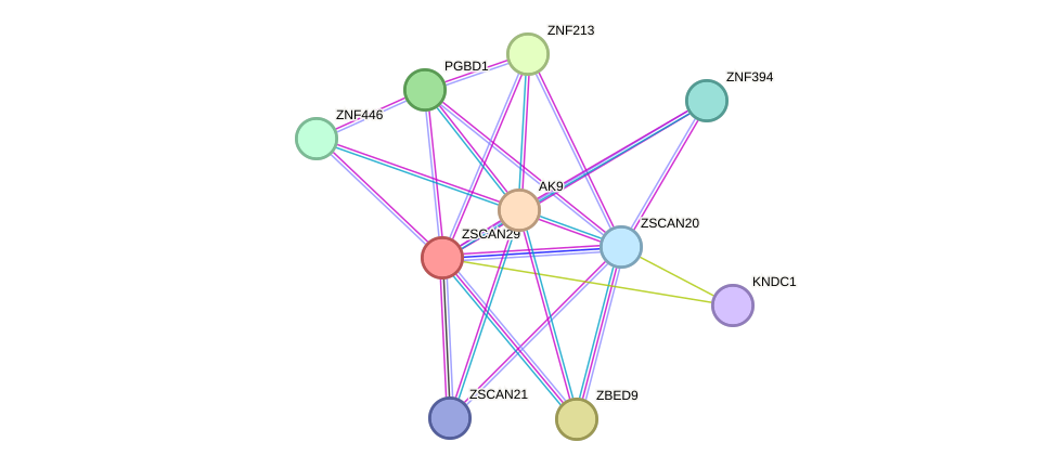 STRING protein interaction network